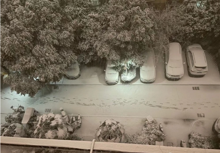 不畏嚴寒除積雪，河南南浦物業掃雪開路暖人心